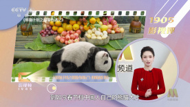 欧美美脚